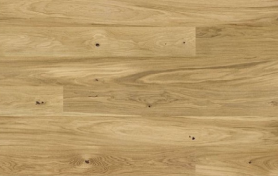 Oak Aska